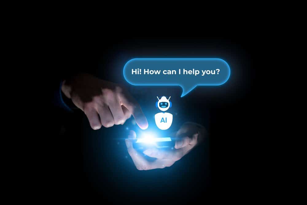 AI audit and assistant interface